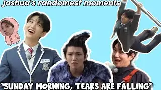 Joshua is SEVENTEEN'S most normal member (not)