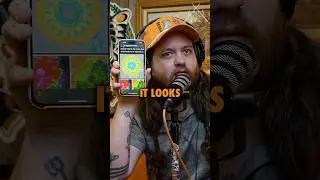 Radar in Mexico picks up a very strange anomaly. 
