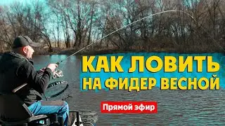 Как ловить на ФИДЕР весной. Онлайн семинар по фидерной ловле. Рыбалка на фидер 2021