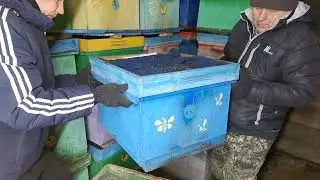 Открываем пчеловодный сезон, выставка пчелосемей на точек.