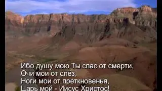Павел Плахотин - Душу мою Ты спас