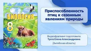 Тип Хордовые. Тема 39. Приспособленность птиц к сезонным явлениям природы