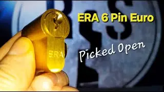 (377) ERA 6 Pin Euro Single Pin Picked