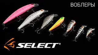 Обзор воблеров Select. Приманки для ловли хищника на спиннинг 2021