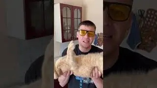 ПИЦЦА ЗА 80 РУБЛЕЙ