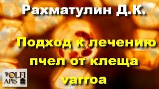 #Рахматулин