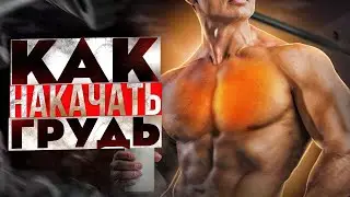 КАК ЖАТЬ ШТАНГУ БОЛЬШЕ ВСЕХ?