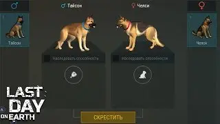 Last Day On Earth  Survival ПЕРВОЕ ПОТОМСТВО МОИХ СОБАК