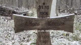 Кладбище военнопленных спецгоспиталя № 2074, п. Пинюг Подосиновский Кировская область 16.11.2023