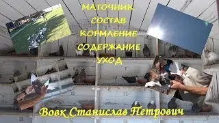 Вовк С.П. Маточник. Секреты успеха...