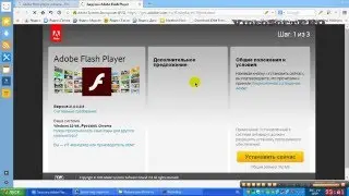Как включить Adobe Flash Player Maxton