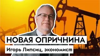 Передел собственности, «бензин по талонам» и атака на гуманитарные науки | Липсиц про экономику 2024