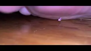 Unaware Giantess steps on her roommate