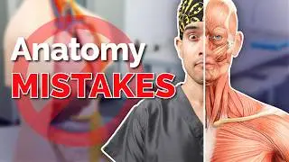 Studying Anatomy? Don’t Make These Mistakes! ❌💀