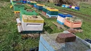Весна,  а может и зима. April 2023