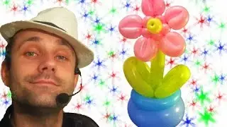 Горшок из шаров аэродизайн ★ Flower pot of balloons