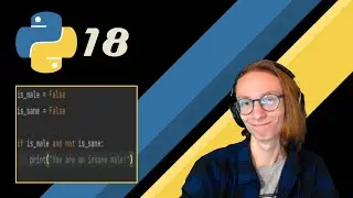 Python Basics - If Statements in Functions #18