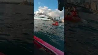 Risky Photography on a Kayak 😱