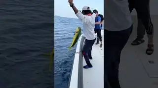 Морская рыбалка в ОАЭ 