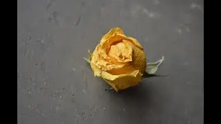 Три фона для небольших фото в instsgram | фон бетон, асфальт, шпатлевка