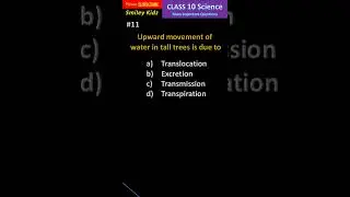 Class 10 Science Important MCQ Question (11) #shorts #class10science #class10 #ytshorts #yt #viral