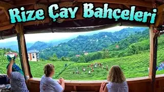 Rize Çay Bahçeleri Ziyaretimiz / Çeçeva - Çayeli