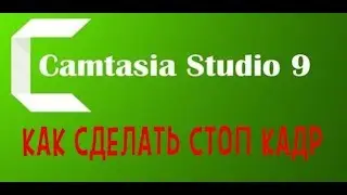 СДЕЛАТЬ СТОП КАДР В CAMTASIA STUDIO 9