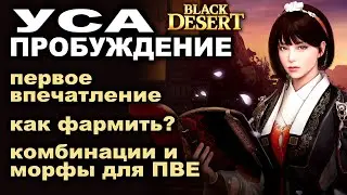 УСА ПРОБУДА: Скилы, билды, комбы на фарм и первые впечатления - НЕ гайд в БДО (BDO - Black Desert)