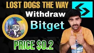 Lost Dogs The way withdraw bitget lost dogs the way woof price lost dogs woof coin price
