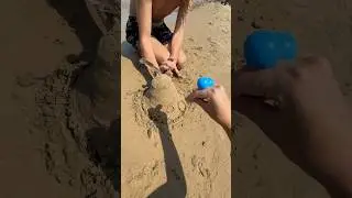 PUPPIES DESTROYS MAN’S SAND CASTLE