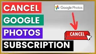 How To Cancel A Google Photos Subscription? [in 2024]