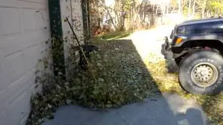 Why everyone needs a Stihl BR 600 Magnum