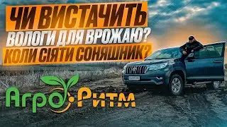 КОЛИ СІЄМО СОНЯШНИК? ЧИ ВИСТАЧИТЬ ВОЛОГИ ДЛЯ ВРОЖАЮ?