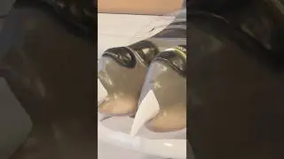 Giantess feet crush