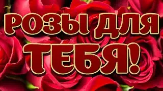 🌹🌹🌹 ЭТИ ЦВЕТЫ ДЛЯ ТЕБЯ 🌹🌹🌹