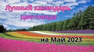 Лунный календарь цветовода на Май 2023