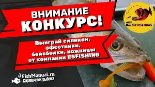 НОВЫЙ КОНКУРС ДЛЯ РЫБАКОВ. Обзор и розыгрыш призов от компании ESFISHING. Силикон, офсетники и...