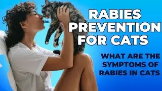 Rabies Prevention for Cats / Rabies in Cats / Cat Grooming