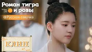 Её ответ разбивает ему сердце💞Роман тигра и розы【Русская озвучка】传闻中的陈芊芊【Чжао Лусы,Дин Юйси】
