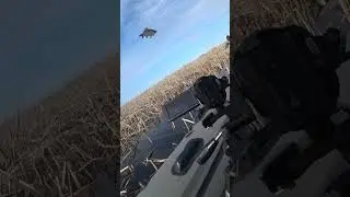 Карась на поплавок.