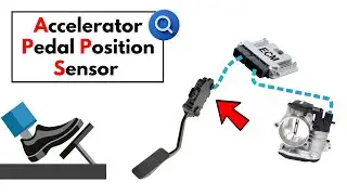 Understanding the Function and Operation of the Accelerator Pedal Position (APP) Sensor