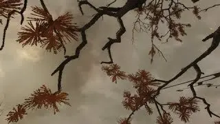 Fallout 76 [ВЫЖИВАНИЕ]. 140 - бобры и атомы