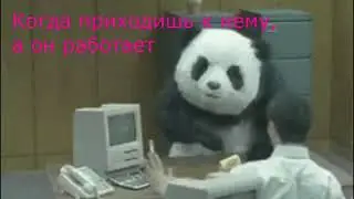 Просто Panda, видео с гифками и с пандами