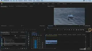 01. Transcoding media and creating proxies || Adobe premiere pro || Video editing tutorial