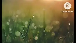 موسيقى هادئة تساعد على الاسترخاء 👌#جربها وأضع سماعة الإذن وأغلق عيناك واستمتع بالاسترخاء و الهدوء 🔥🔥
