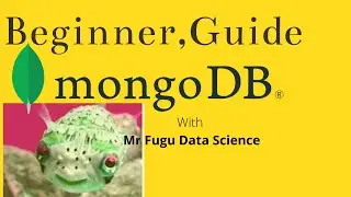 MongoDB, Beginners Tutorial: INSERT | DELETE | JavaScript Function | QUERY (Lecture 01)