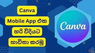 How to Install and Use Canva Mobile App in Sinhala