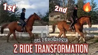 Ex Racehorse: 2 Ride Transformation| Talk Thru Ride Analysis