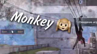 Monkey | Standoff 2