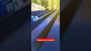 Он живёт на крыше. 